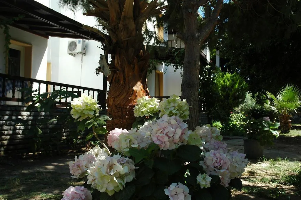 Alfa Apartments Αλικαρνασσός