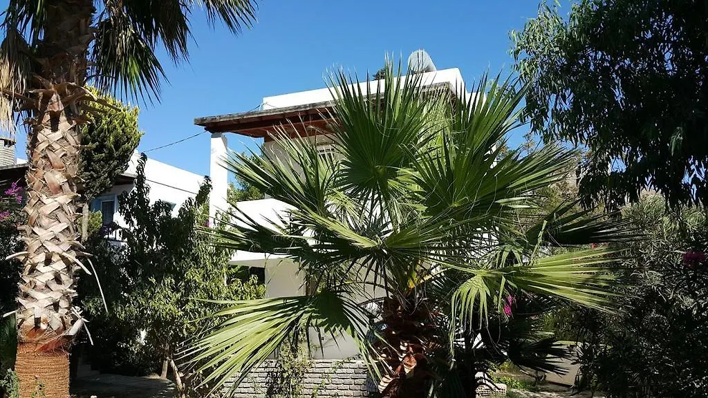 Alfa Apartments Αλικαρνασσός 3*,