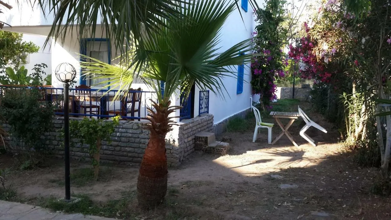 Alfa Apartments Αλικαρνασσός 3*,  Τουρκία