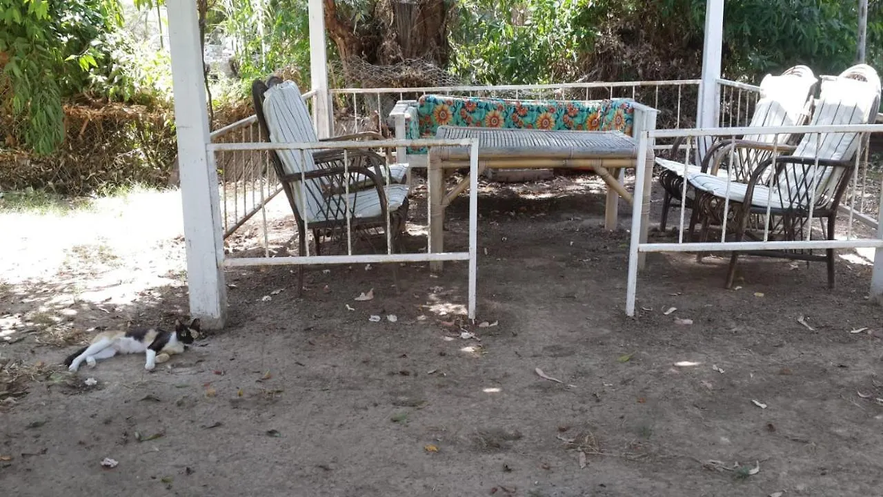 *** Ξενοδοχείο με διαμερίσματα Alfa Apartments Αλικαρνασσός Τουρκία
